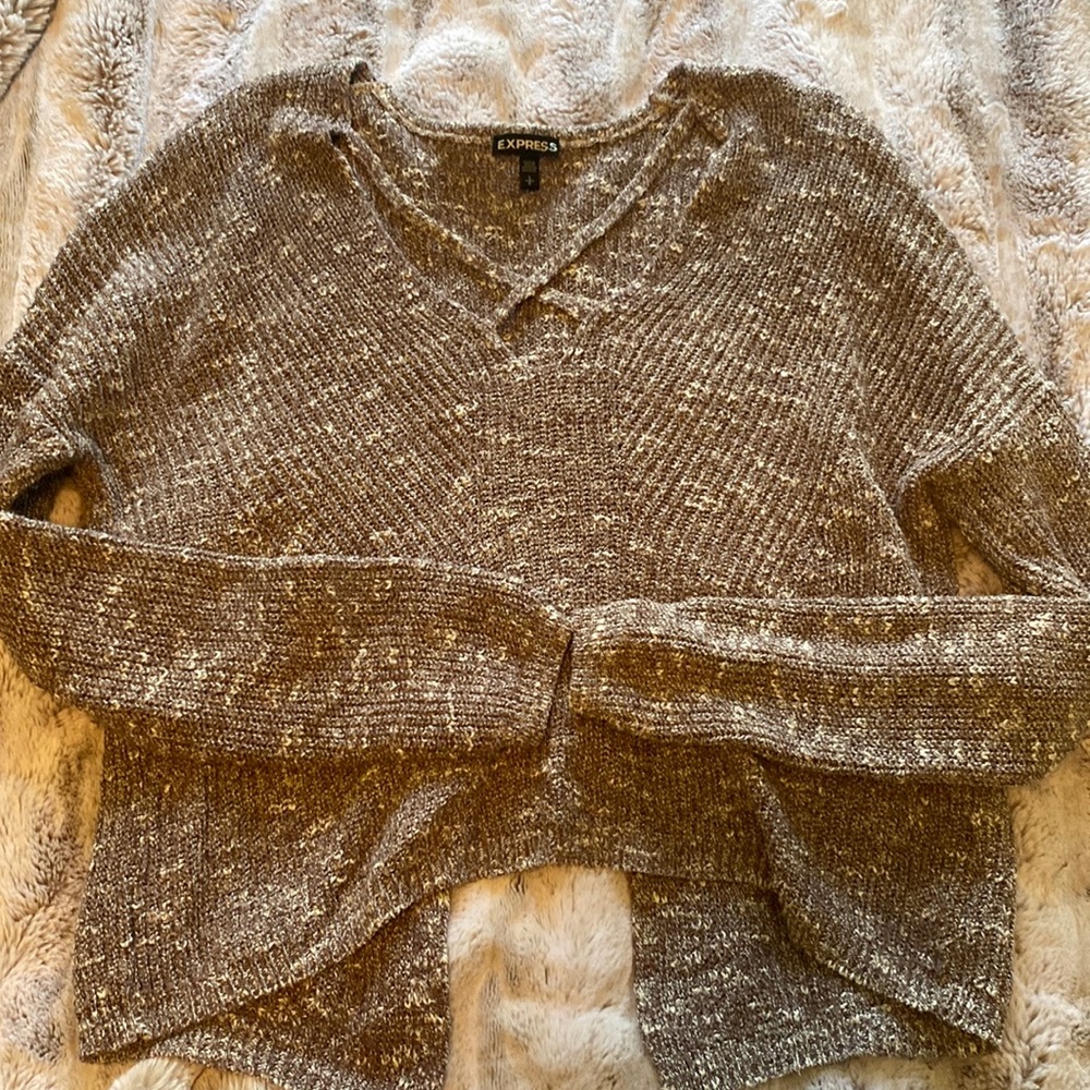 Express sweater size small